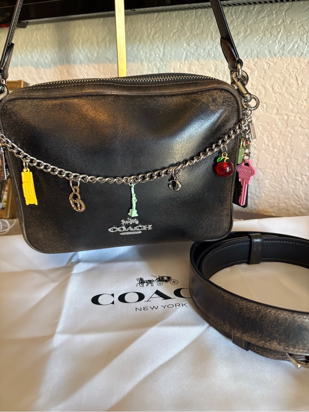 Coach Loved Leather Carey Crossbody Bag - Picture 4 of 16